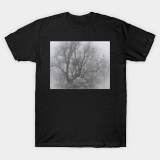 Chelsworth Mist #3 T-Shirt